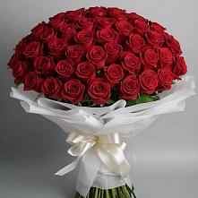 Букет 101 Красная роза Блэк Мэджик в Вахтане
