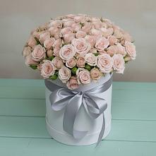 Цветочная композиция из Розы в шляпной коробке #REPLACE_PRED# Вахтане