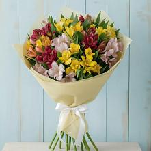 Букет цветов из:  Альстромерии #REPLACE_PRED# Вахтане
