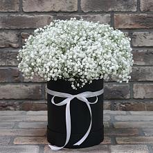 Цветочная композиция из Гипсофила в шляпной коробке в Вахтане