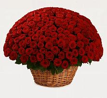 Премиум букет из: Розы в Вахтане