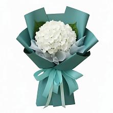 Букет цветов из:  Гортензия #REPLACE_PRED# Вахтане